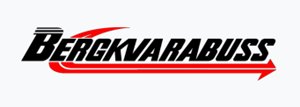 Bergkvarabuss