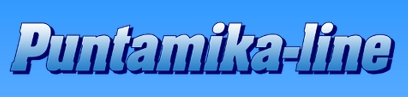 Puntamika logo